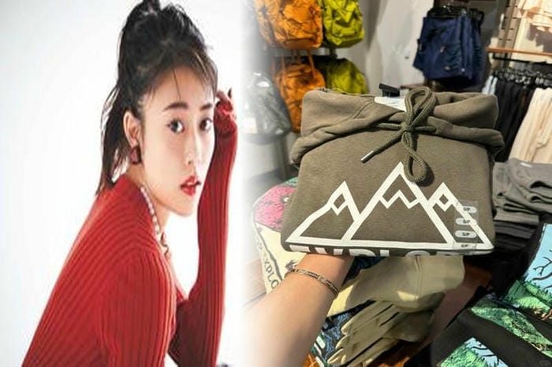 ノース フェイス tortoise