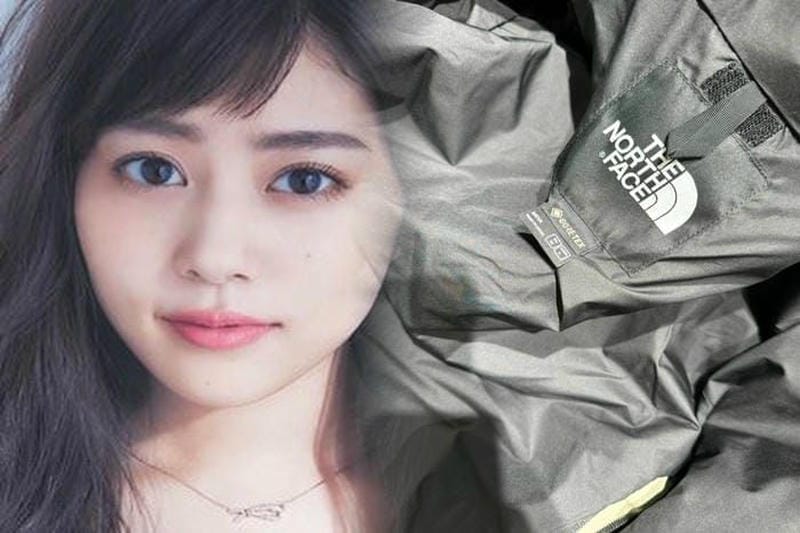 the north face ロゴ