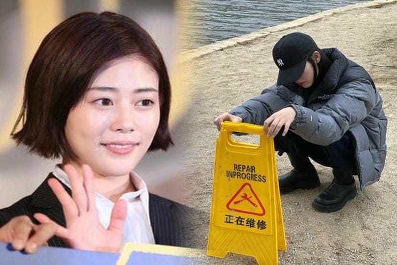 borealis ノース フェイス