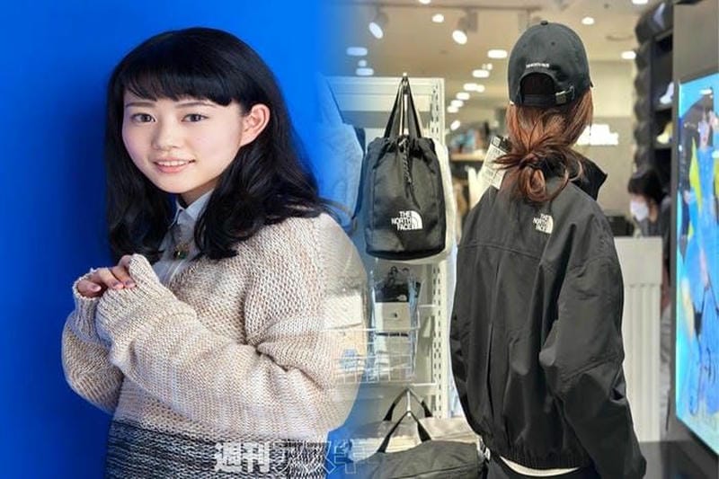 ノース フェイス ベスト メッシュ