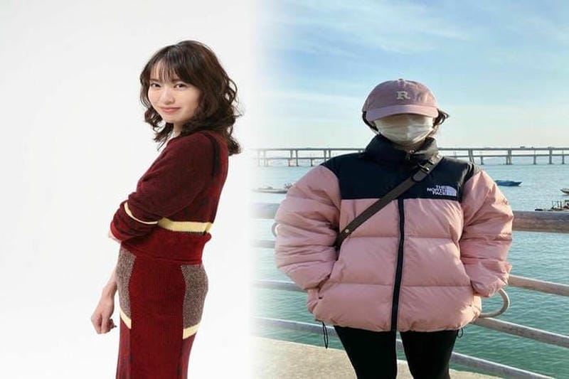 ノース フェイス カタログ 2019