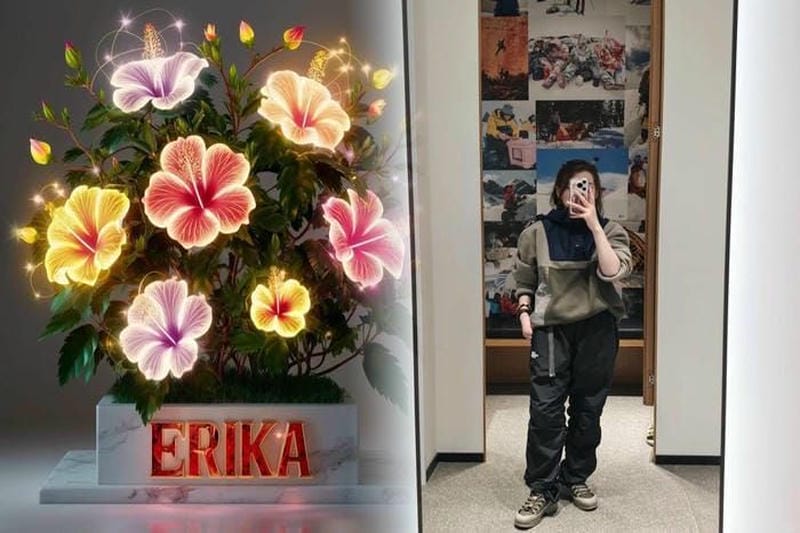 ノース フェイス アウトレット 通販