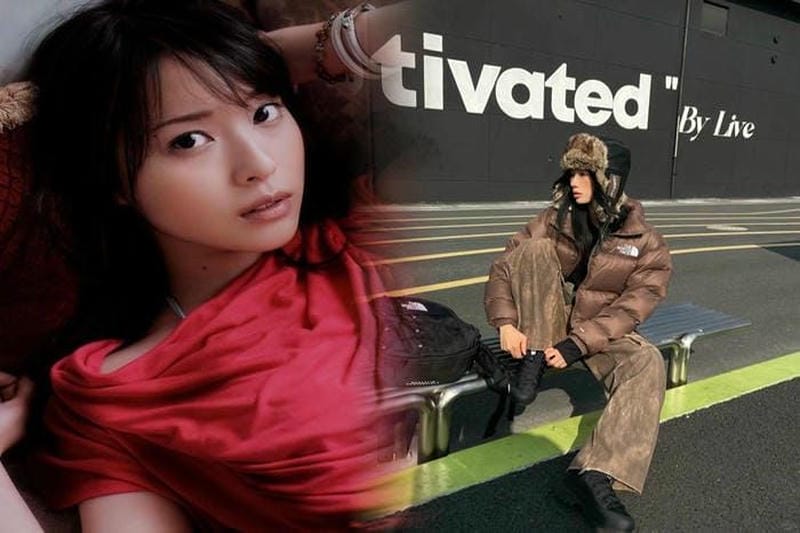 ノース フェイス アウトレット 栃木