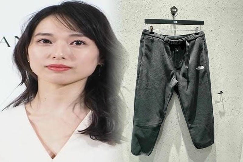 ノース フェイス tellus 33