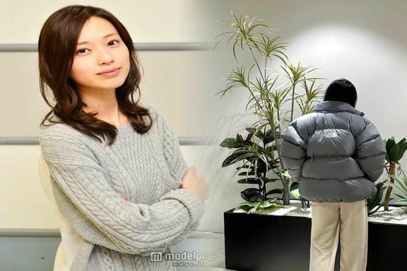 ノース フェイス ブランド イメージ