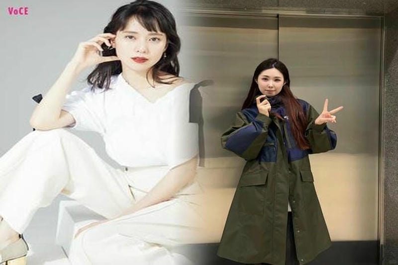 ノース フェイス テルス 30 レディース