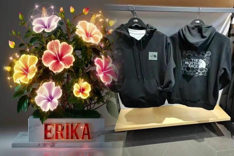 ノース フェイス プリマ ロフト 洗濯