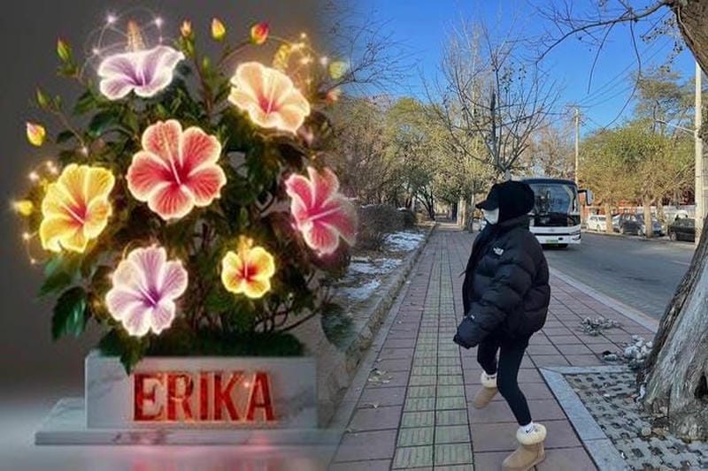 supreme ノース フェイス ヌプシ