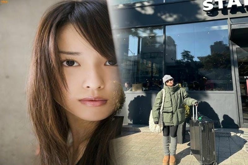 ノース フェイス 茶 タグ デイパック