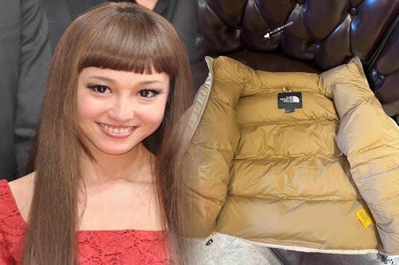 ノース フェイス ヒューズ ボックス ポーチ