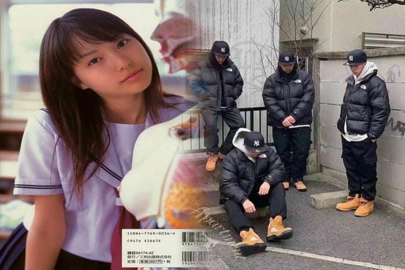 ウィンド ストッパー ノース フェイス