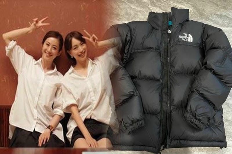 ワイマラナー ブラウン ノース フェイス