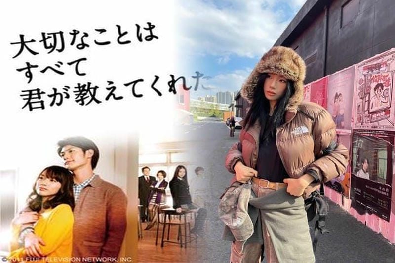 ノース フェイス レディース マウンテン