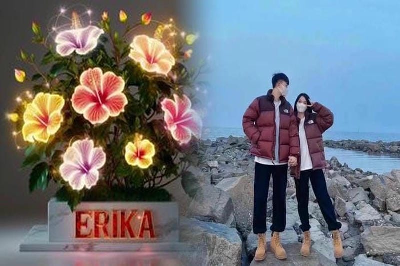 ノース フェイス マクマード レディース