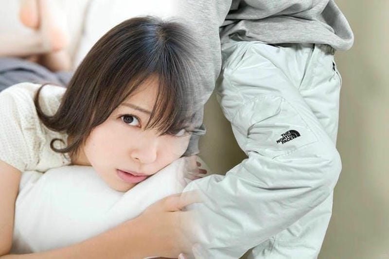 ノース フェイス ウエスト ポーチ 種類