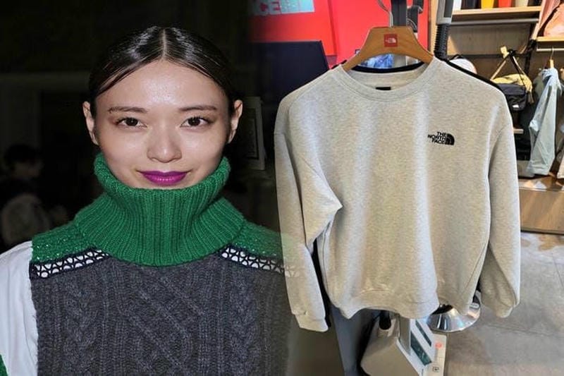 ノース フェイス テルス 20 大人