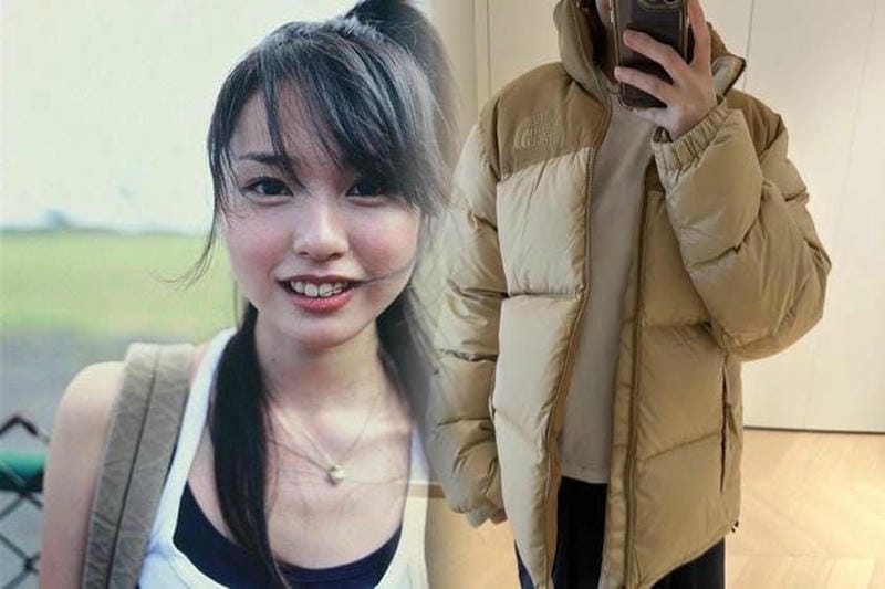 ノース フェイス スワロー テイル 洗濯