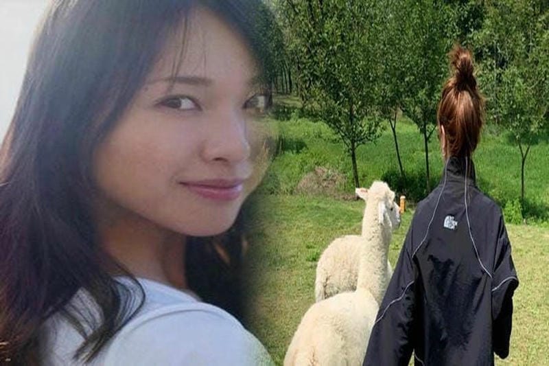 ノース フェイス ネック ウォーマー 公式