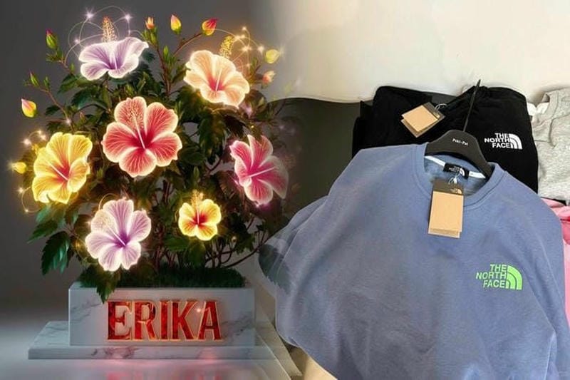 ノース フェイス チュガッチ 16