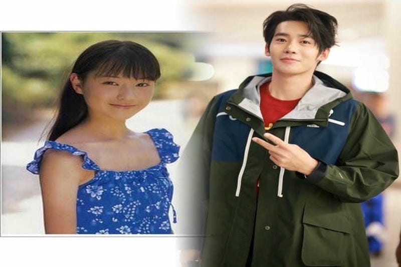 ノース フェイス スワロー テイル ベスト