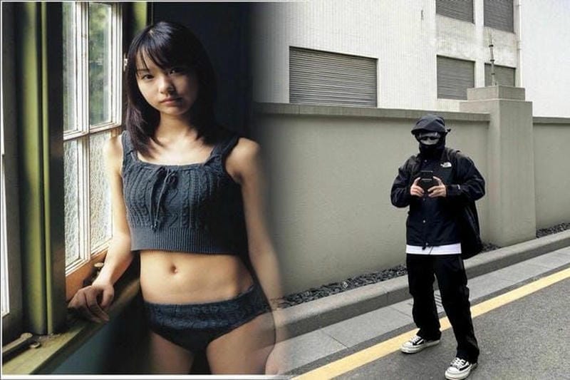 ノース フェイス サミット シリーズ 通販