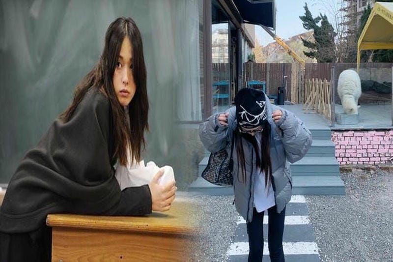 ノース フェイス トップス レディース