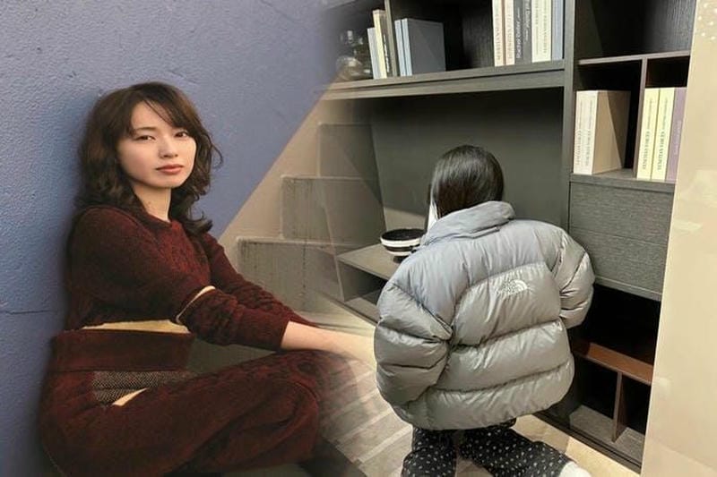 ノース フェイス フーディー レディース