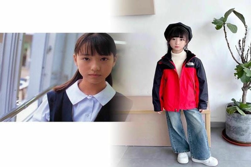 ノース フェイス パウダー ガイド ベスト