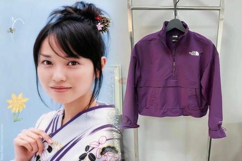 ユーティリティ ブラウン ノース フェイス