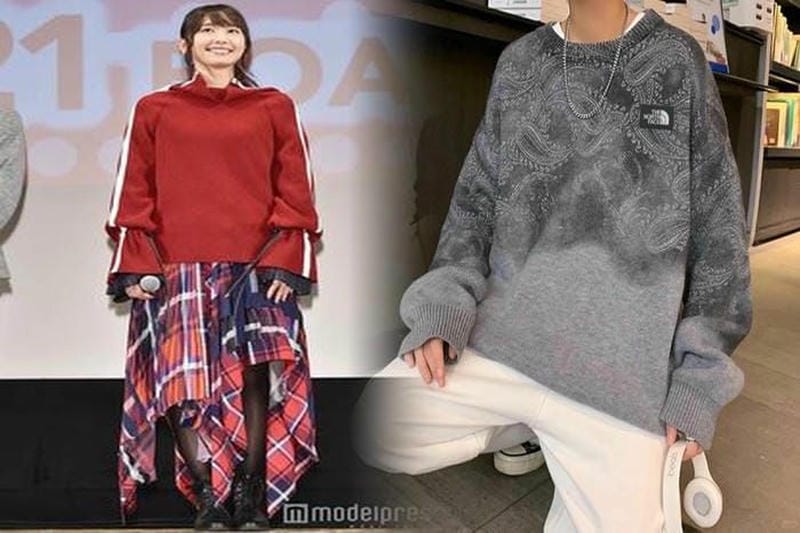 ジャーナル スタンダード ノース フェイス