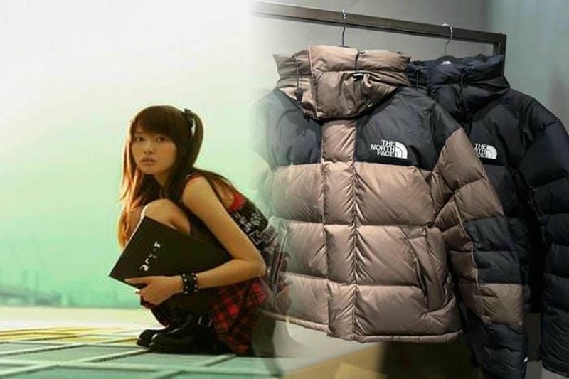 ノース フェイス zip in zip 対応