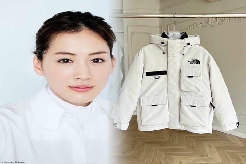 ノース フェイス テルス 20 大人