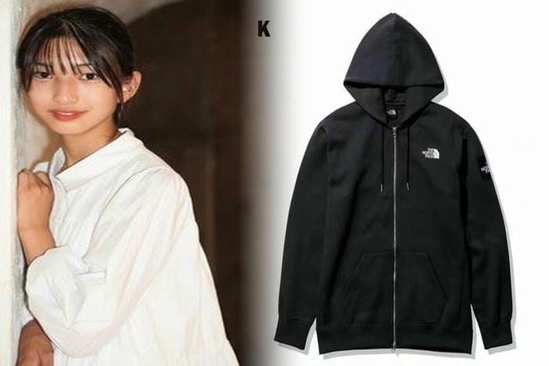 ノース フェイス どこ の 国 の ブランド