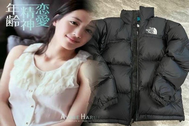 ノース フェイス テルス 30 レディース