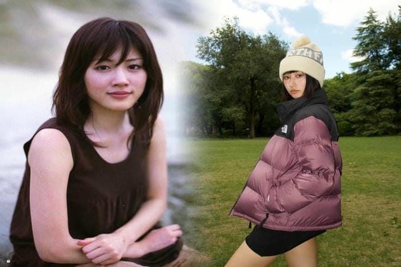 ノース フェイス ヒューズ ボックス 型 落ち