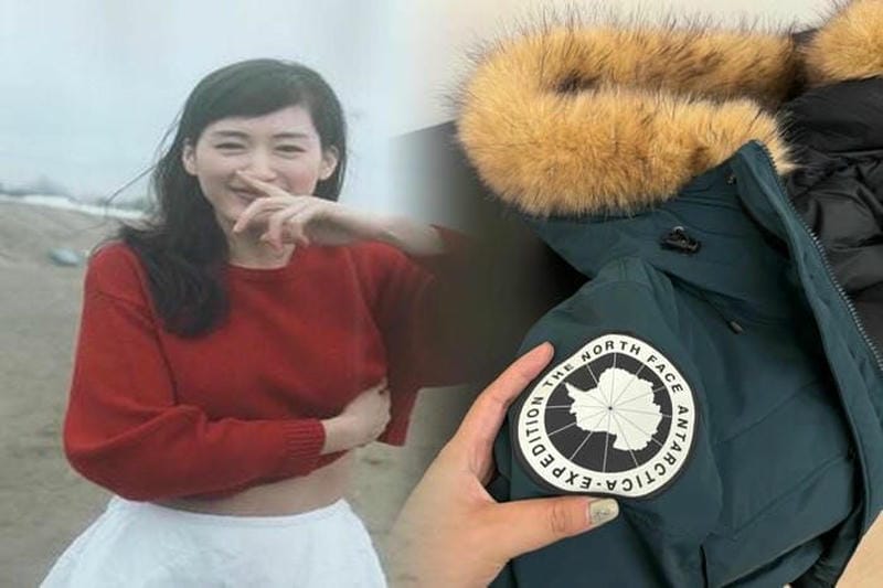 ノース フェイス ヌプシ キッズ