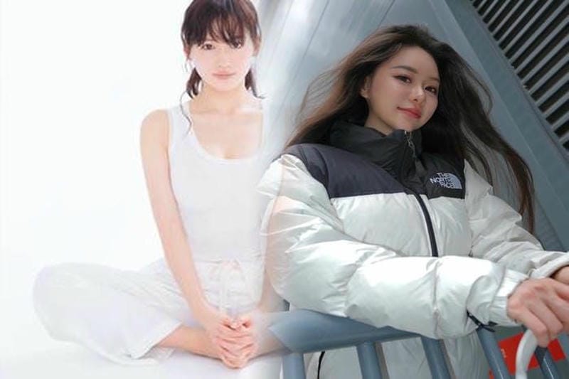 ノース フェイス ヌプシ ブラウン