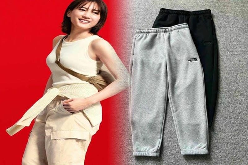 ノース フェイス ステッカー どこに 売っ てる