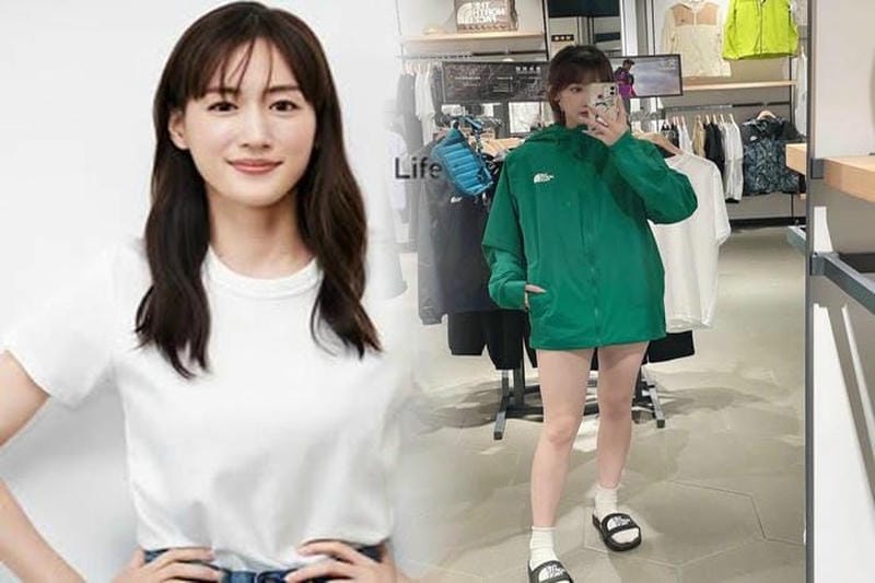 ノース フェイス borealis classic