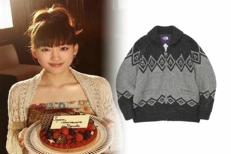 ゴアテック ス シェイク ドライ ノース フェイス