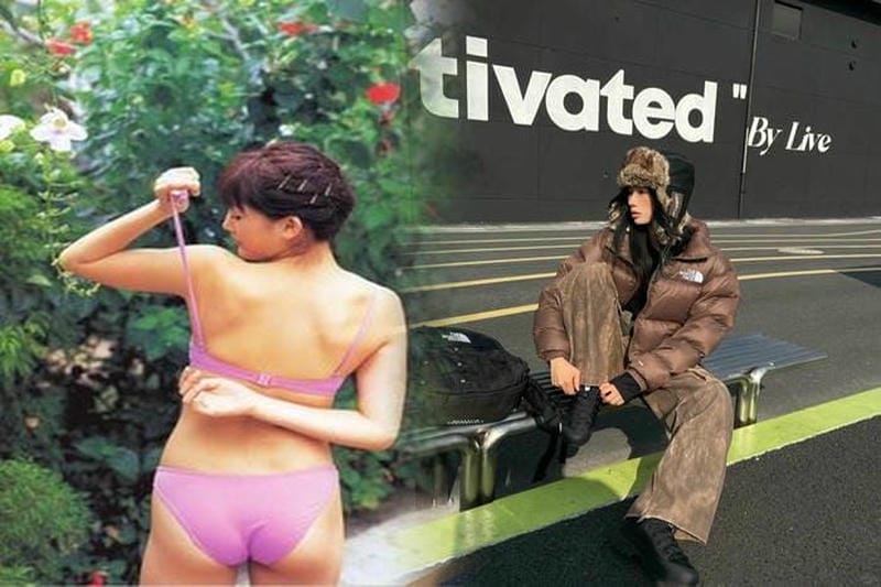 ノース フェイス フーディー レディース