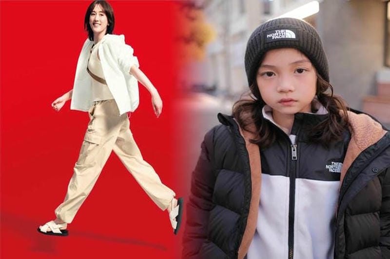 supreme ノース フェイス ヌプシ