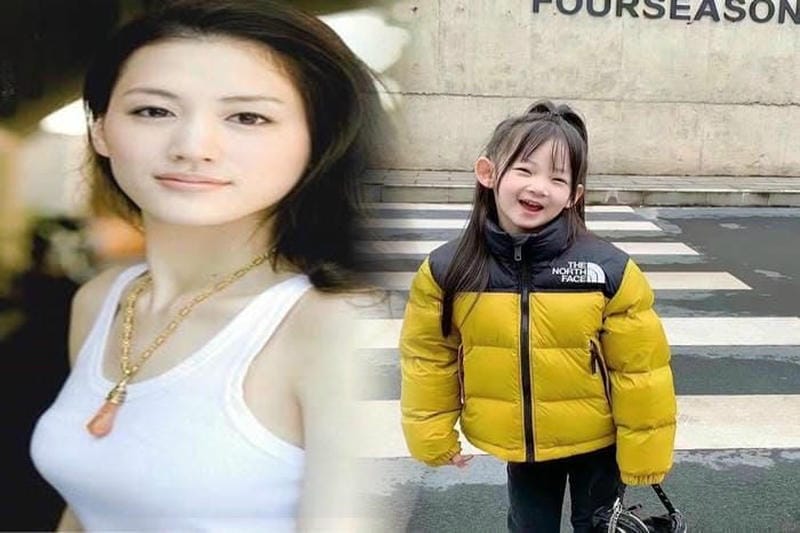 ノース フェイス スクエア ロゴ フルジップ