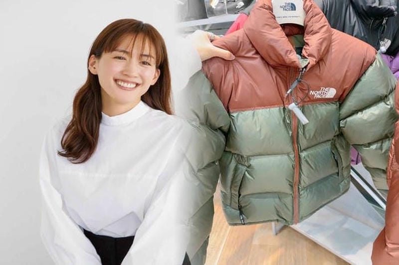 ノース フェイス nse traction lite moc