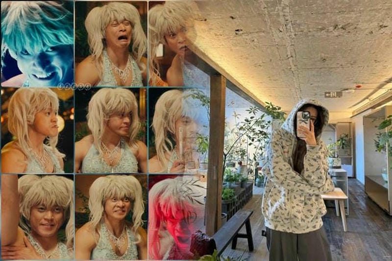 シュプリーム 犬 の 服