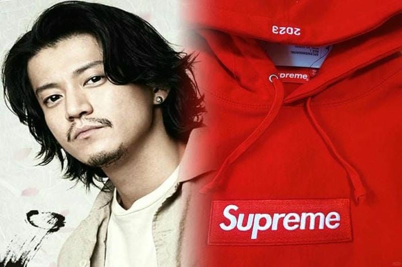 シュプリーム ノース フェイス 枯葉