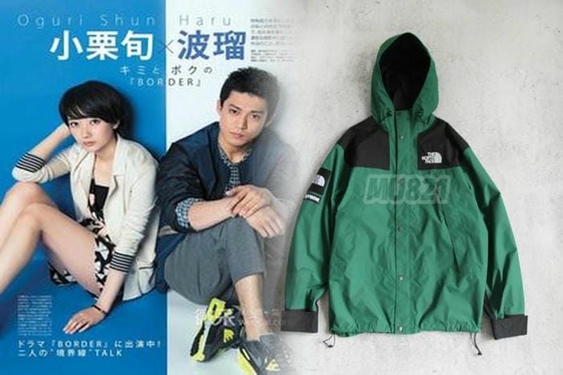 シュプリーム ノース フェイス 雪山 偽物