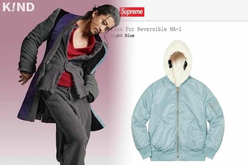 シュプリーム ノース フェイス 2019ss