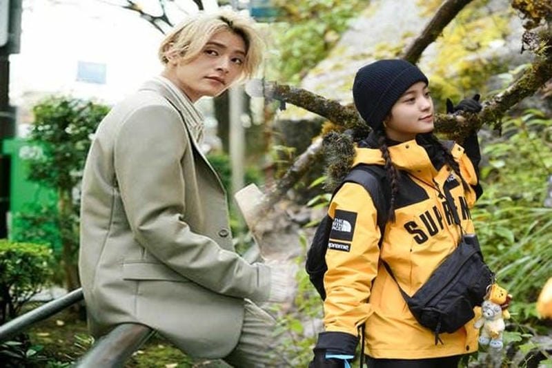 シュプリーム ノース フェイス 枯葉