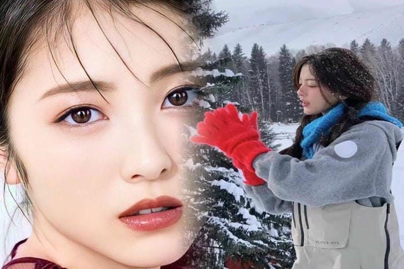 2580laカナダグース